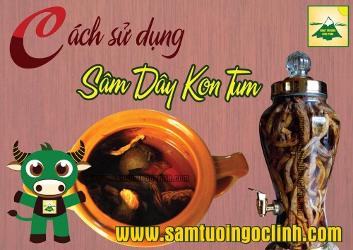 Cách Sử Dụng Sâm Dây Khô (Đảng Sâm) hiệu quả