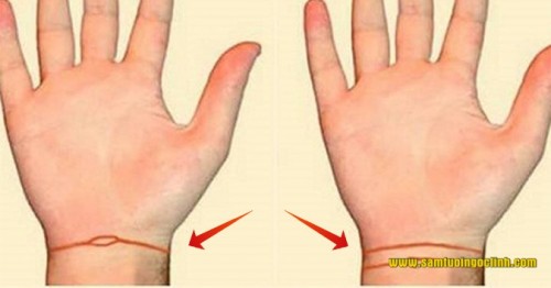 Với một người bình thường sẽ có từ 2 đến 3 vết hằn trên cổ tay, trong đó ngấn đầu tiên được coi là ngấn quan trọng nhất