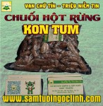 Kinh nghiệm chọn chuối hột rừng chất lượng, có so sánh với chuột hột trồng