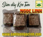 Sâm dây Ngọc Linh được trồng và thu hoạch từ tự nhiên trên núi Ngọc Linh