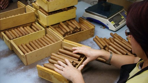 Những điếu Cohiba sản xuất cho khách hàng thường có giá 28USD/điếu nhỏ và 56USD/điếu to.