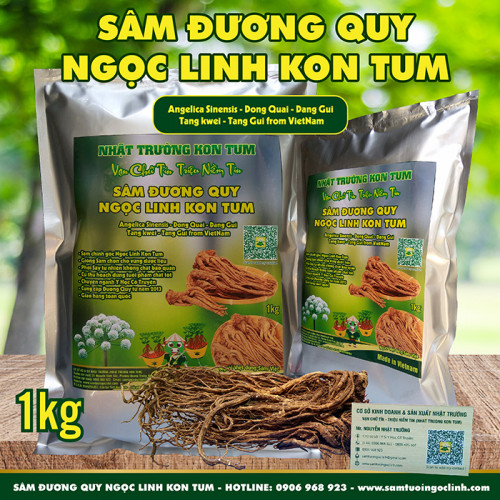 Sâm Đương Quy Ngọc Linh Kon Tum Nhật Trường - 1kg