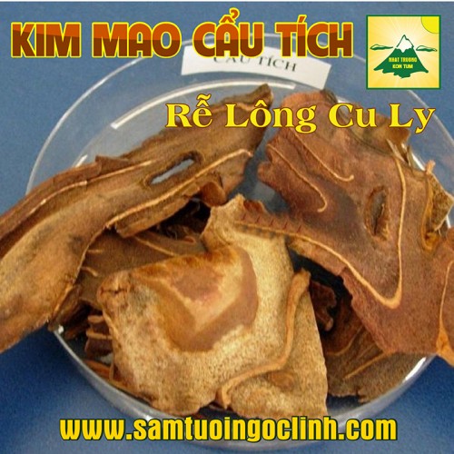 Kim Mao Cẩu Tích, Cu Ly Bổ Thận Bổ Gan