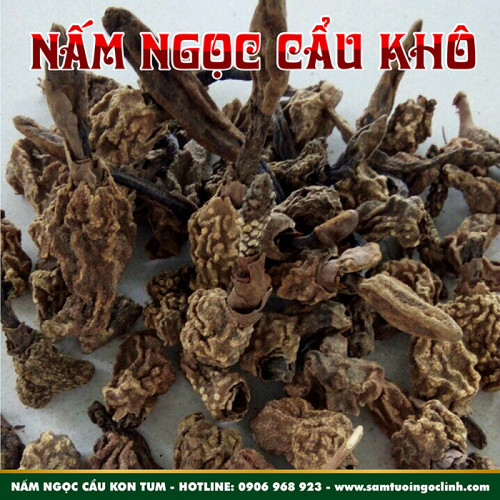 Nấm Ngọc Cẩu (Toả Dương) Khô Ngọc Linh Kon Tum Nhật Trường