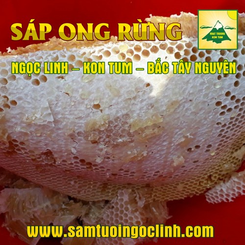 Sáp Ong Rừng Tu Mơ Rông Ngọc Linh Kon Tum