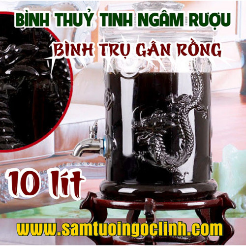 Bình Thủy Tinh Gân Rồng 10 lít Ngâm Rượu Hoa Quả