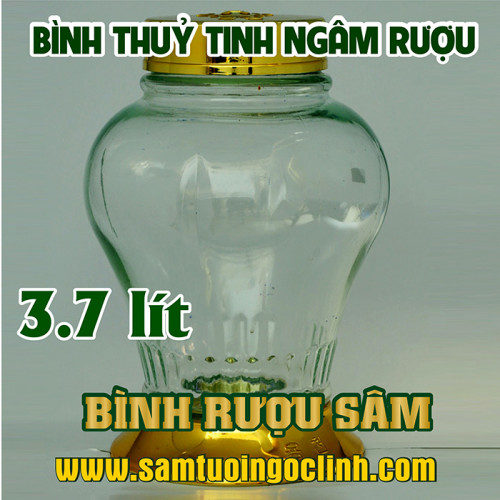 Bình Thủy Tinh Rượu Sâm 3.7 lít Kiểu Dáng Đẹp