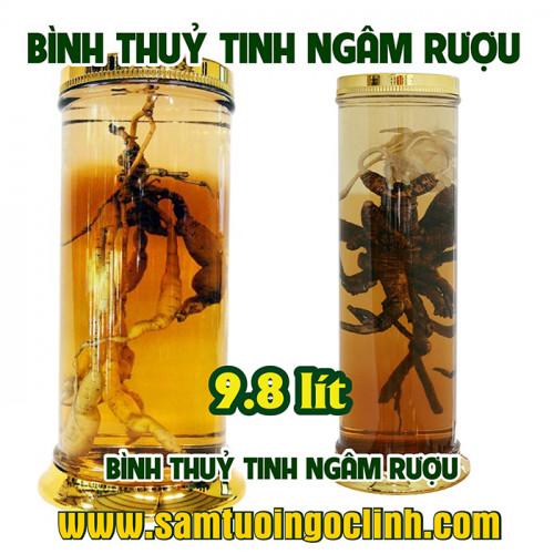 Bình Thủy Tinh Rượu Sâm 9.8 lít Kiểu Dáng Đẹp