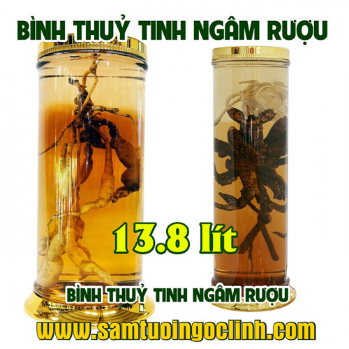 Bình Thủy Tinh Rượu Sâm 13.8 lít Kiểu Dáng Đẹp