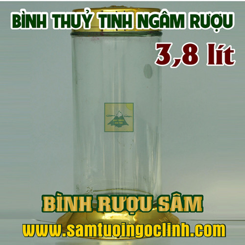 Bình Thủy Tinh Rượu Sâm 3.8 lít Kiểu Dáng Đẹp