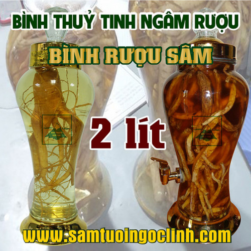 Bình Thủy Tinh Rượu Sâm 2 lít Kiểu Dáng Đẹp