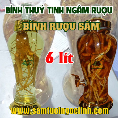 Bình Thủy Tinh Rượu Sâm 6 lít Kiểu Dáng Đẹp