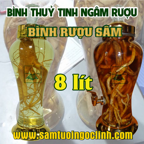 Bình Thủy Tinh Rượu Sâm 8 lít Kiểu Dáng Đẹp