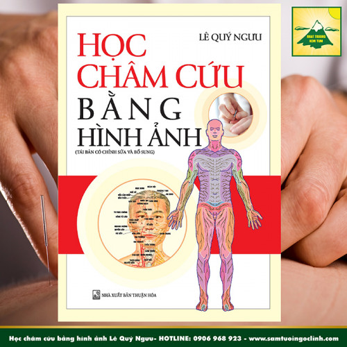 Học châm cứu bằng hình ảnh Lê Quý Ngưu