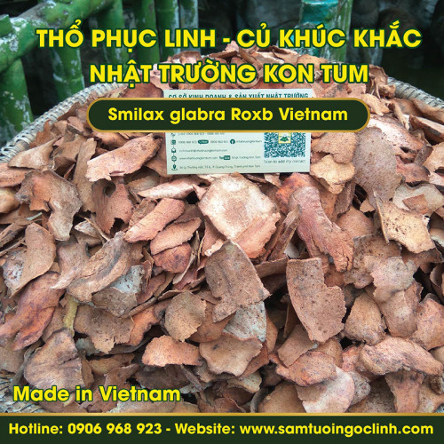 Củ Khúc Khắc, Thổ Phục Linh Kon Tum