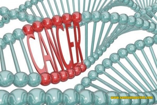 Qua nhiều nghiên cứu dịch tễ học, các nhà khoa học đã phát hiện ra chỉ có dưới 10% bệnh ung thư phát sinh do các rối loạn từ bên trong cơ thể