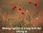 Tôi xin được chia sẻ với bạn một chút tâm sự của mình sau hơn một năm “sống với những nghịch lý”.