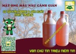 Mật ong là một trong những loại thực phẩm tuyệt vời nhất trong tự nhiên