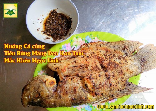 Nướng Cá với Tiêu Rừng Măng Đen Kon Tum và Mắc Khén Ngọc Linh