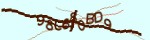 Mã bảo mật