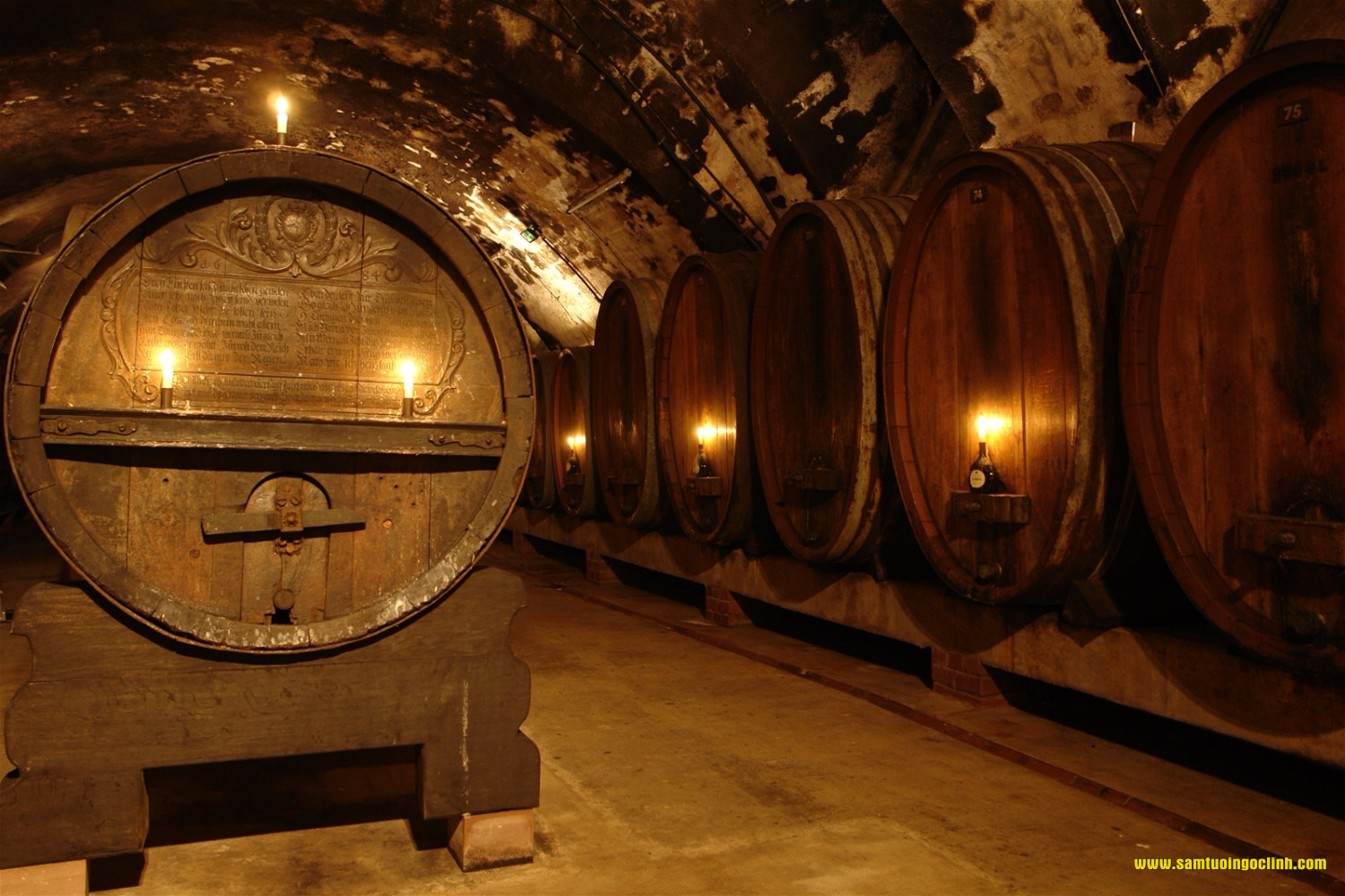 hầm ủ rượu vang 1