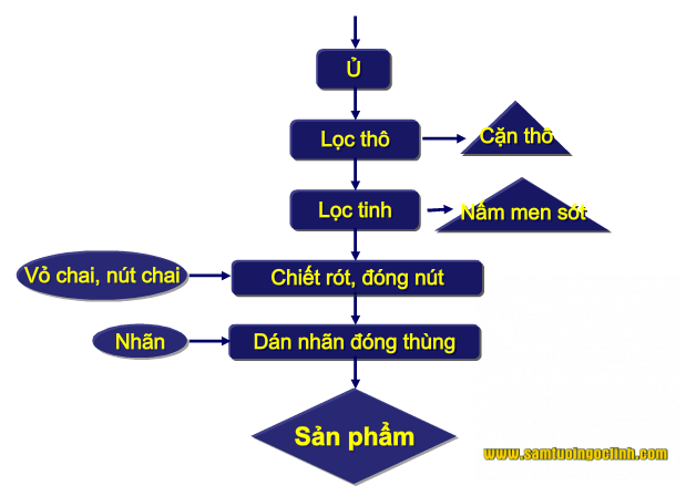 quy trình sản xuất và xử lý rượu vang (3)