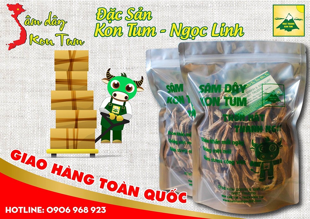 sâm dây kon tum ngọc linh nhật trường 1