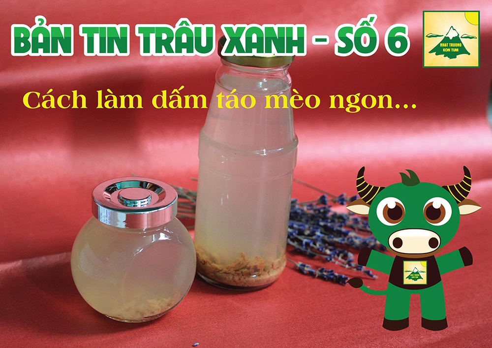 bản tin trâu xanh