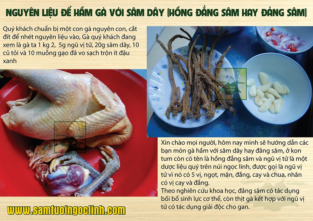 hướng dẫn hầm gà với sâm dây đảng sâm hồng đẳng sâm (2)