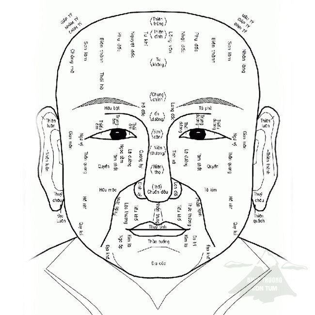 nhân tướng học 1