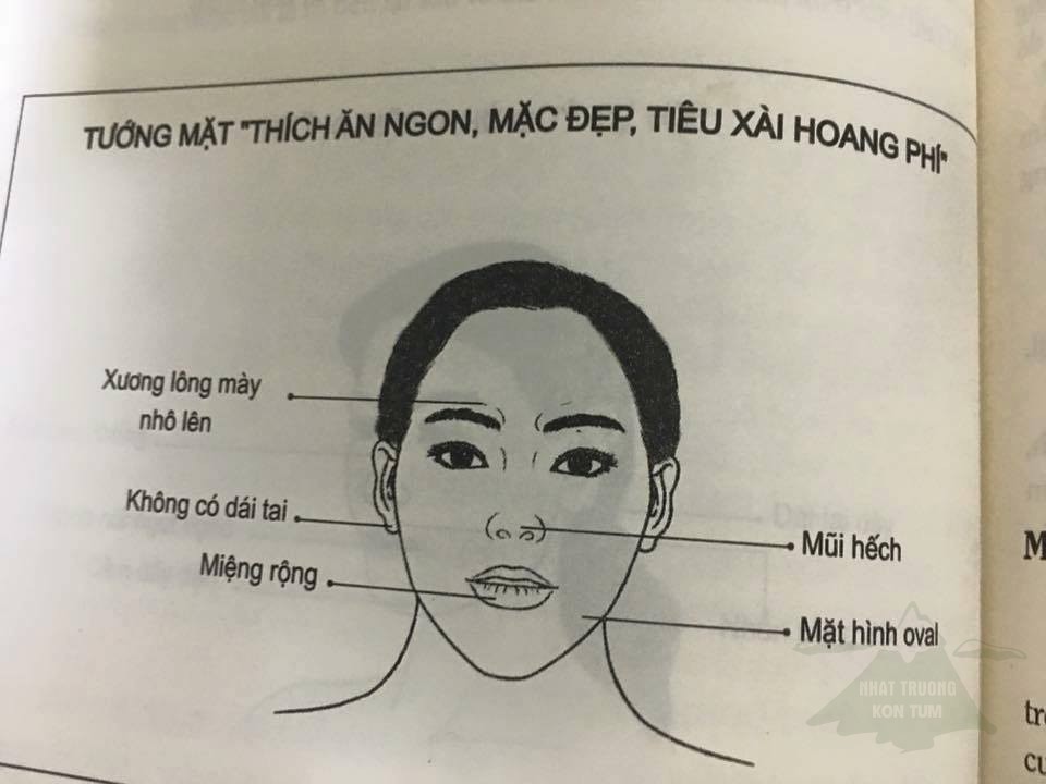 xem tướng mạo phụ nữ qua gương mặt 4