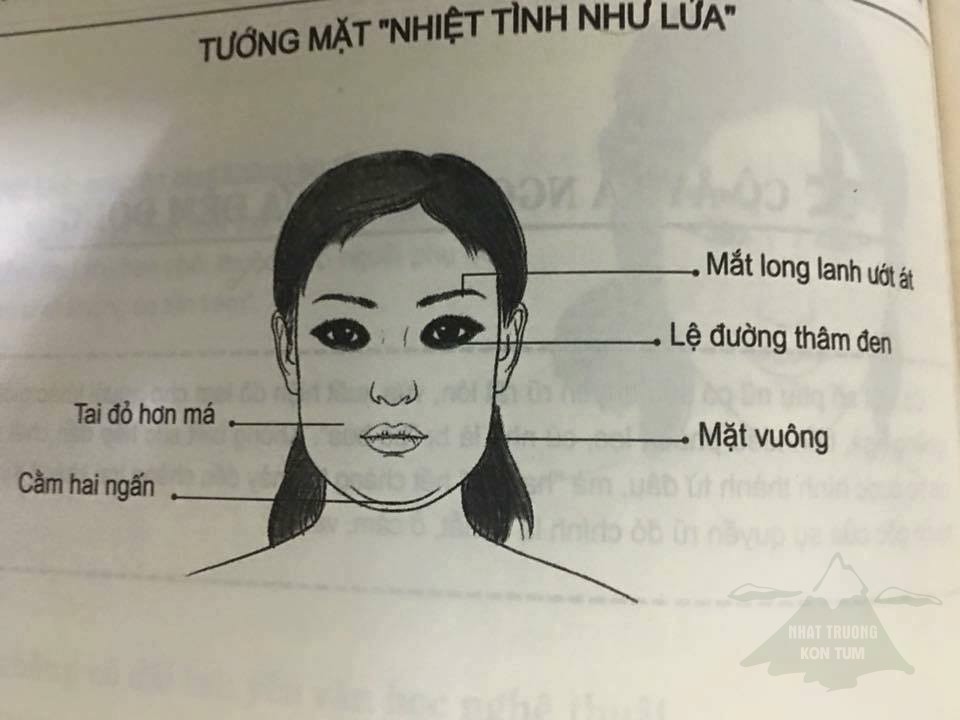 xem tướng mạo phụ nữ qua gương mặt 7