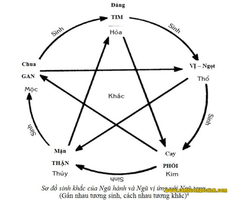 sinh khắc của ngũ hành