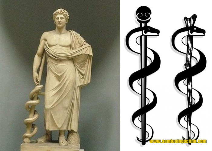 Dựa vào truyền thuyết trên, ngành y đã dùng biểu tượng con rắn quấn quanh cây gậy phép của Esculape
