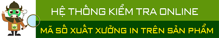 kiểm tra hệ thống online