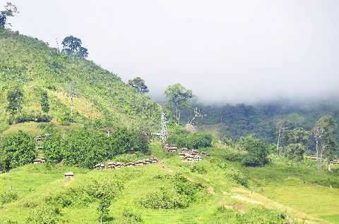 Những căn chòi đựng thóc của đồng bào được dựng ngay trên những cánh đồng dọc sườn đồi lãng đãng sương sớm