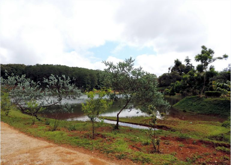 Măng Đen, thị trấn trên cao