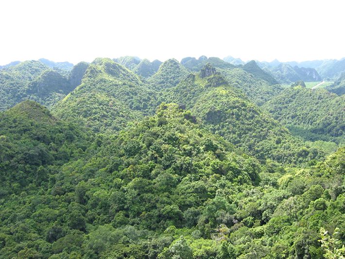 Và, một dân tộc bé nhỏ sống dưới chân núi Chư Mom Ray cũng đang dựa vào đại ngàn, dựa vào cộng đồng để tìm lại cuộc sống ấm no, bản sắc văn hóa đã từng bị mai một.