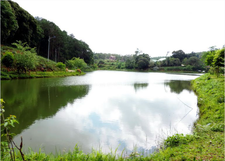 Măng Đen, thị trấn trên cao