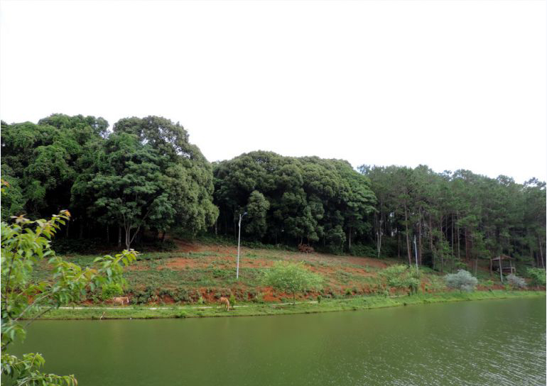 Măng Đen, thị trấn trên cao