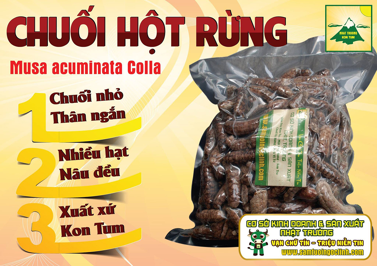 chuối hột rừng