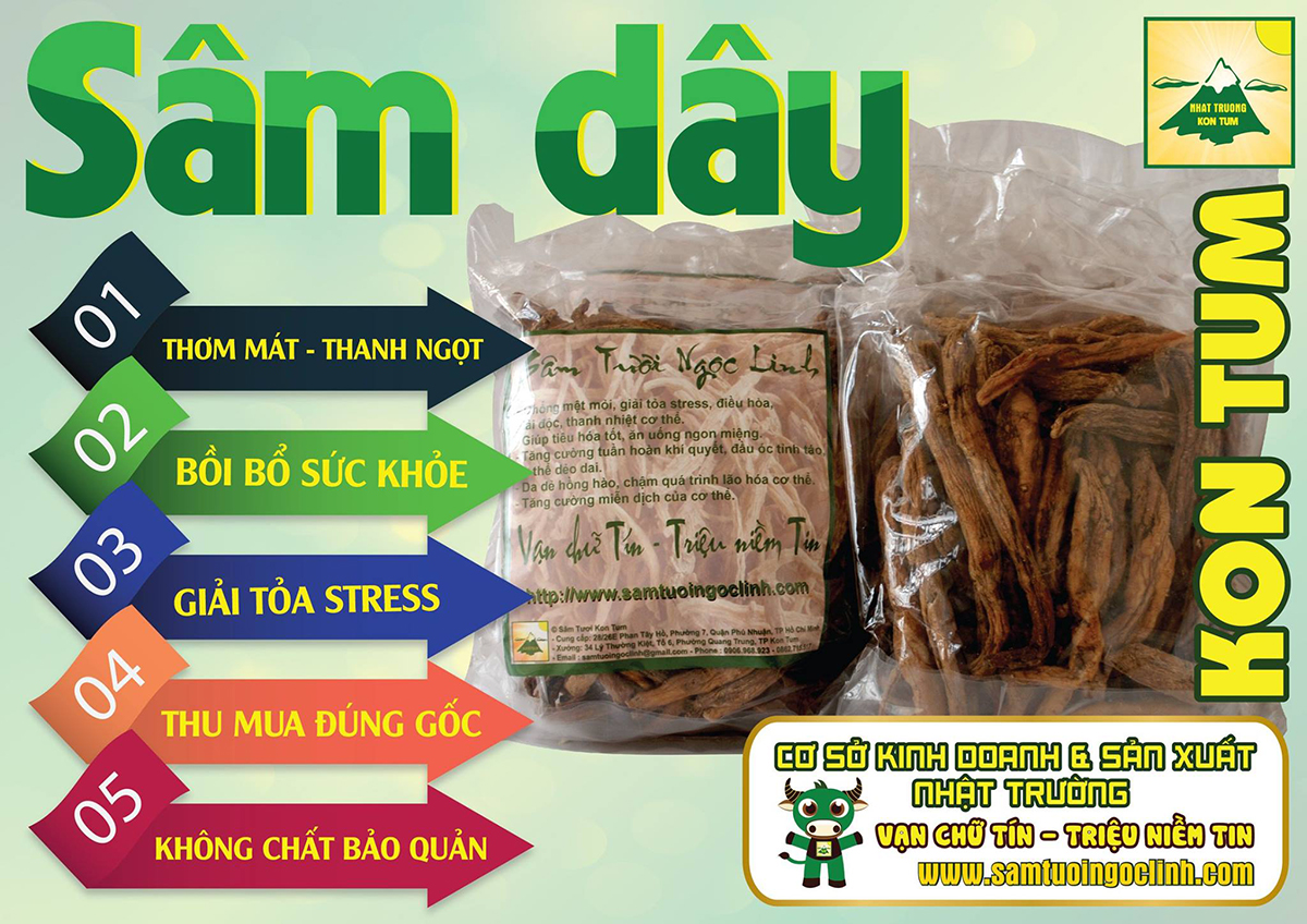 sâm dây kon tum