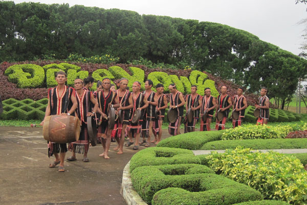 đồng xanh gia lai