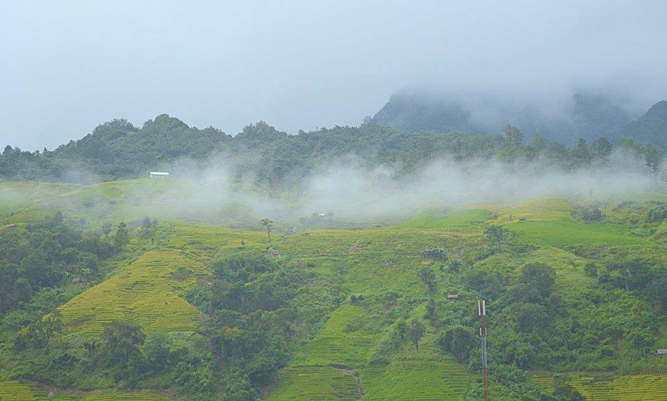 ngọc linh kon tum