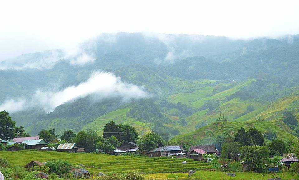 ngọc linh kon tum