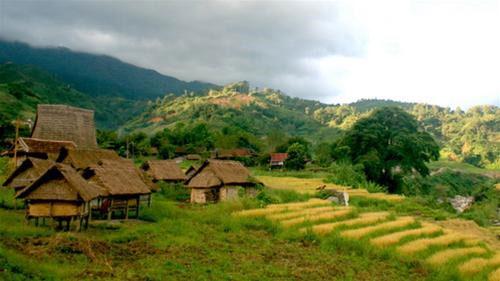 ngọc linh kon tum