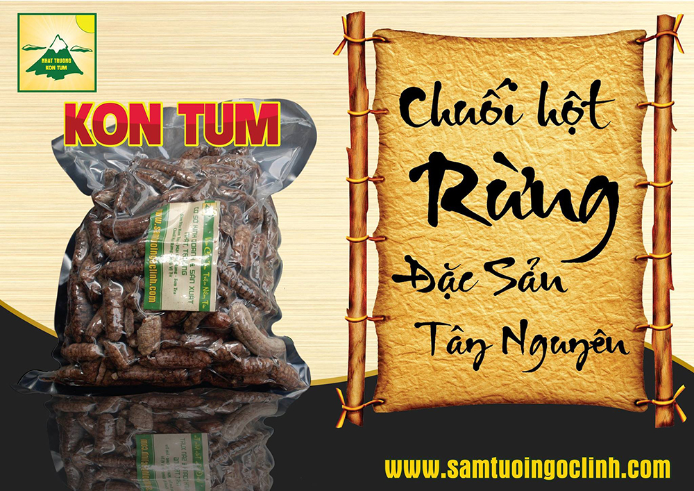 chuối hột rừng