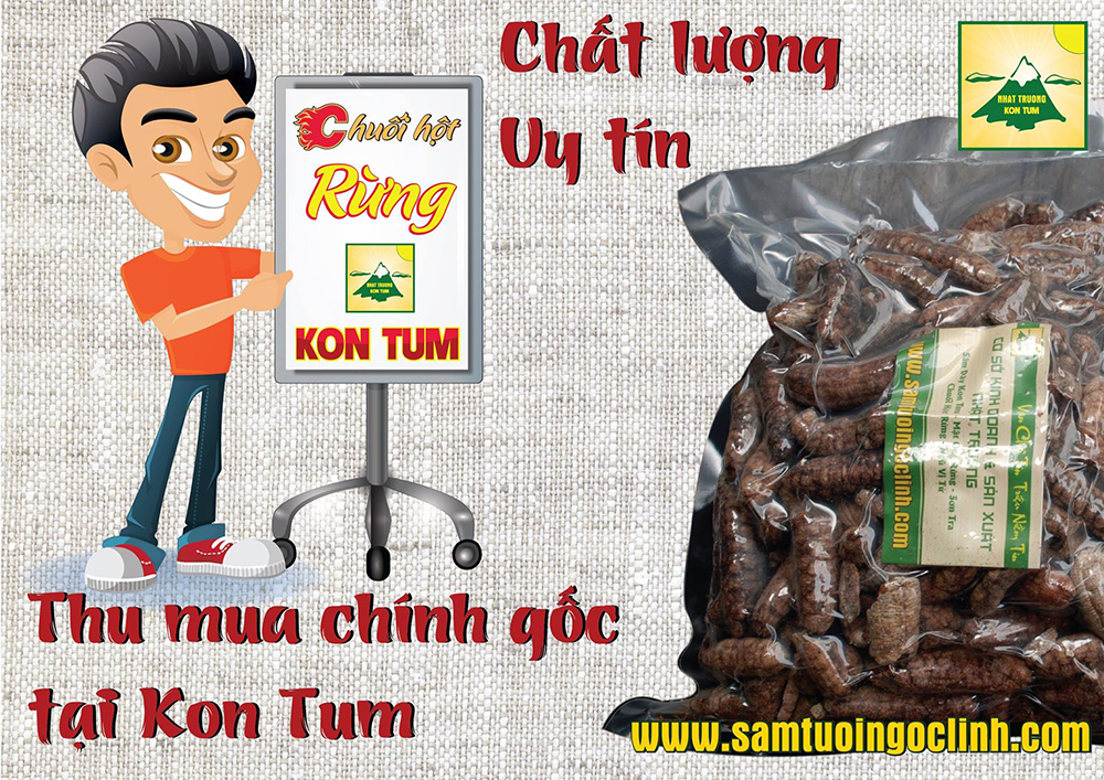 chuối hột rừng