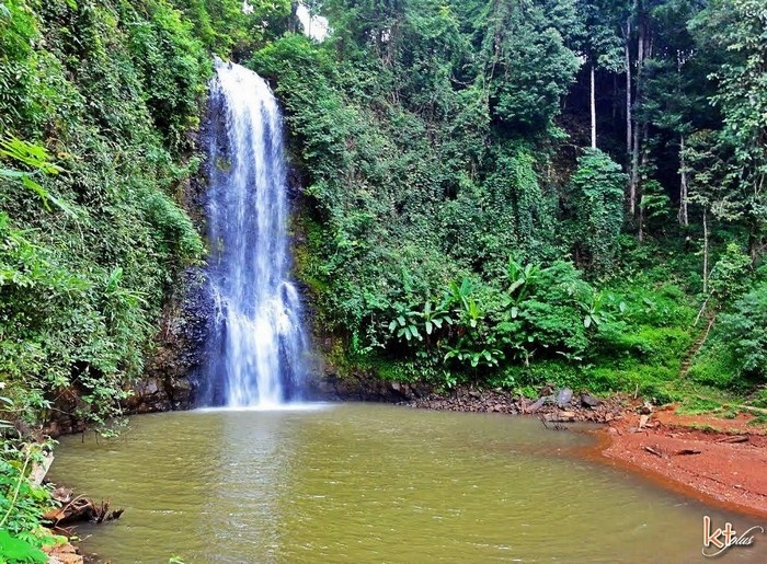 măng đen kon tum