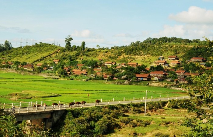 măng đen kon tum